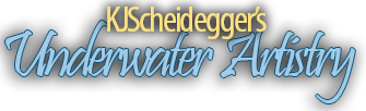 KJScheidegger's Underwater Artistry